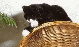 ケーセン Koesen ぬいぐるみ ねそべり猫 黒 |木のおもちゃ がりとん