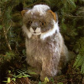 ケーセン Koesen ぬいぐるみ オオヤマネコの子 座り