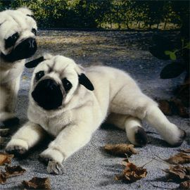 ケーセン Koesen ぬいぐるみ パグ 伏せ