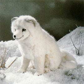 ケーセン Koesen ぬいぐるみ フェネックギツネ 立ち DESERT FOX