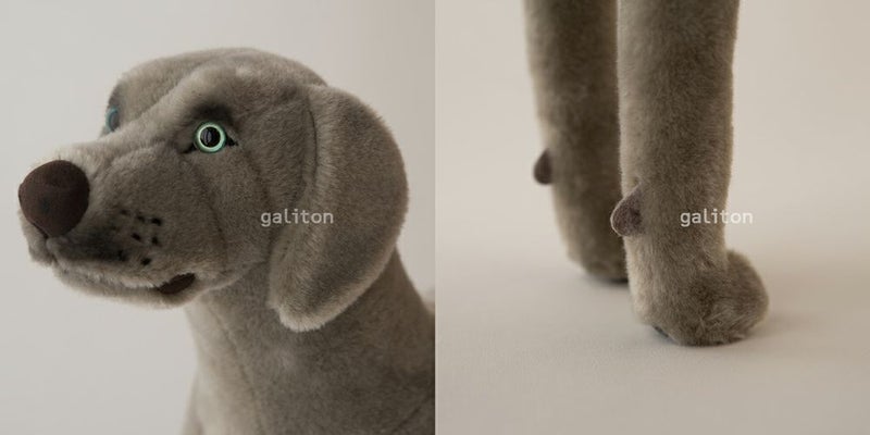 ケーセン Koesen ぬいぐるみ ワイマラナー