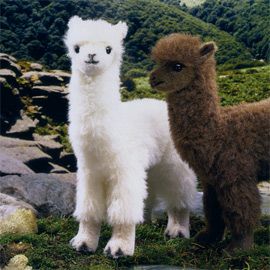 ケーセン Koesen ぬいぐるみ アルパカ 白