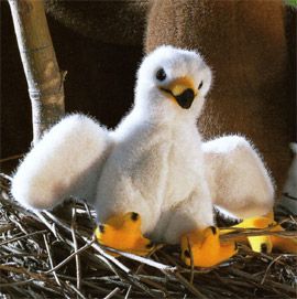 鳥 | 木のおもちゃ がりとん
