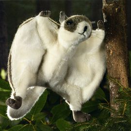 ケーセン Koesen ぬいぐるみ モモンガ FLYING SQUIRREL |木のおもちゃ
