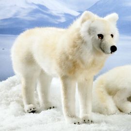 ケーセン Koesen ぬいぐるみ ホッキョクオオカミ 立ち POLAR WOLF