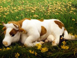 ケーセン Koesen ぬいぐるみ うし 伏せ 茶白 COW LYING