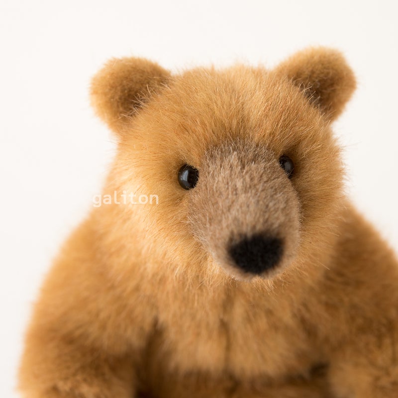 ケーセン Koesen ぬいぐるみ お座りベア グリズリー GRIZZLY BEAR
