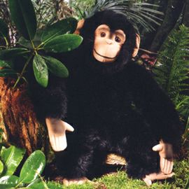 ケーセン Koesen ぬいぐるみ チンパンジー CHIMPANZEE |木のおもちゃ