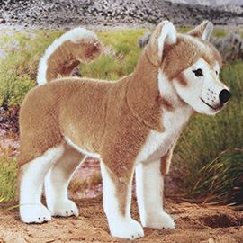 Koesen ファーストトイ 柴犬 ケーセン ぬいぐるみ 柴犬 5751 柴犬 黒