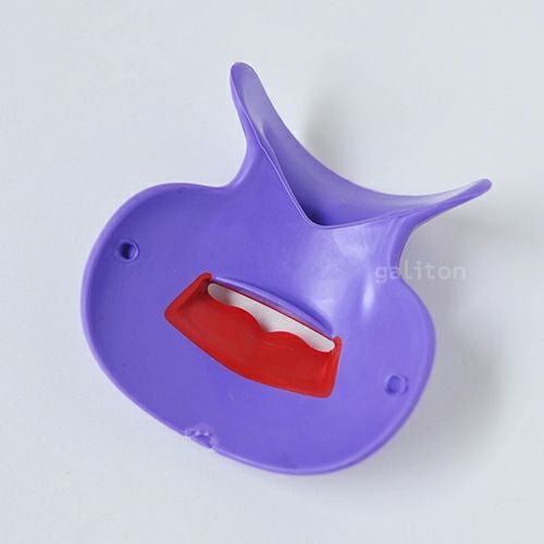 鼻笛（ノーズフルート） Bocarina ボカリナPRO 紫赤