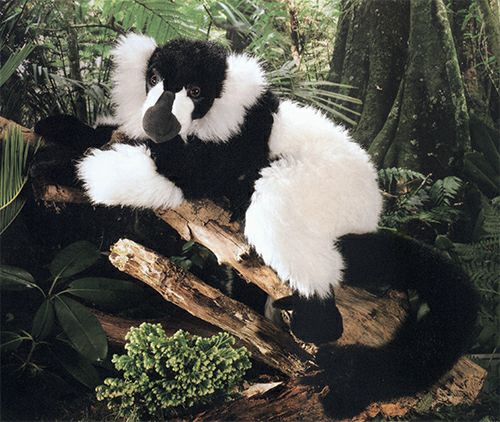 ケーセン Koesen ぬいぐるみ エリマキキツネザル