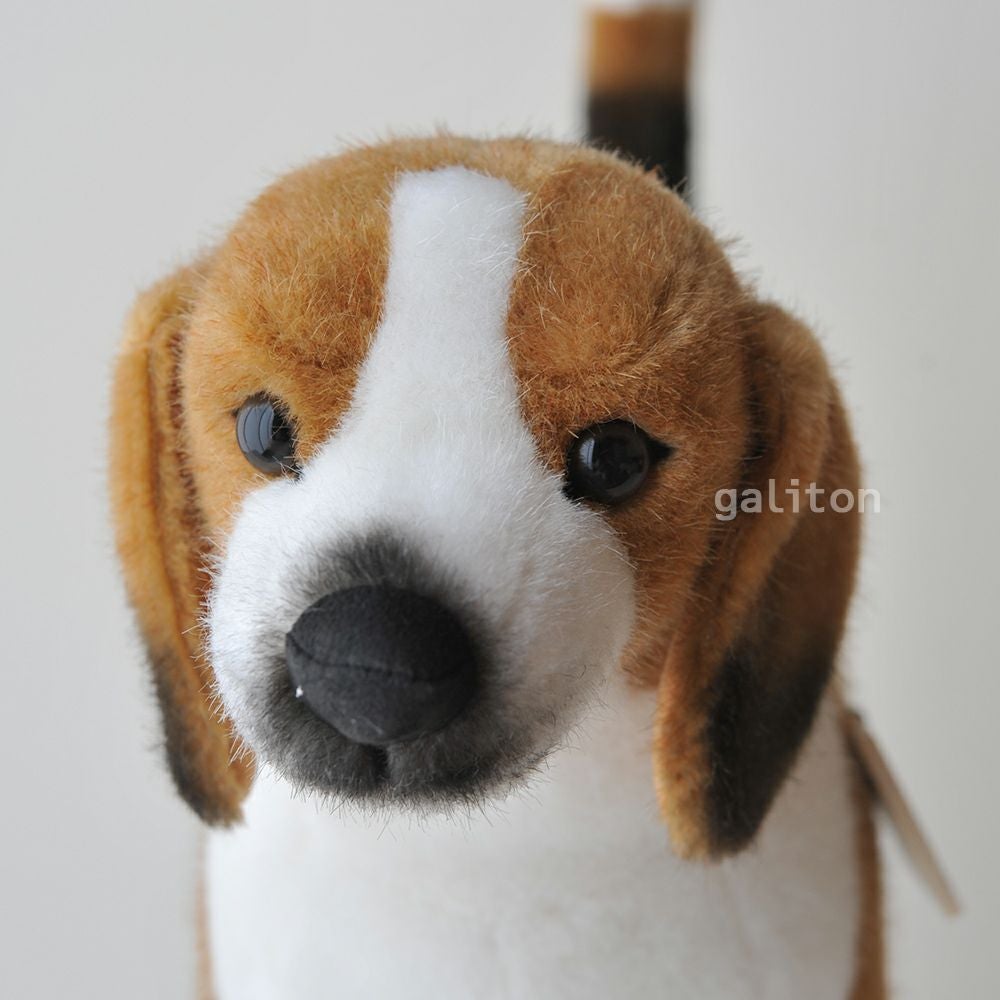 ケーセン Koesen ぬいぐるみ ビーグル BEAGLE, STANDING |木のおもちゃ