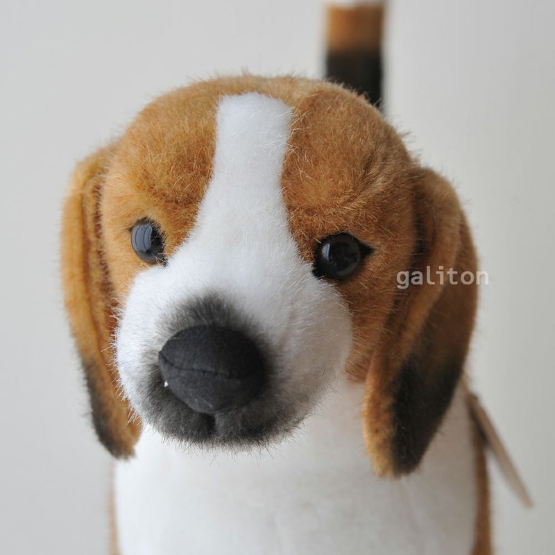 ケーセン Koesen ぬいぐるみ ビーグル BEAGLE, STANDING