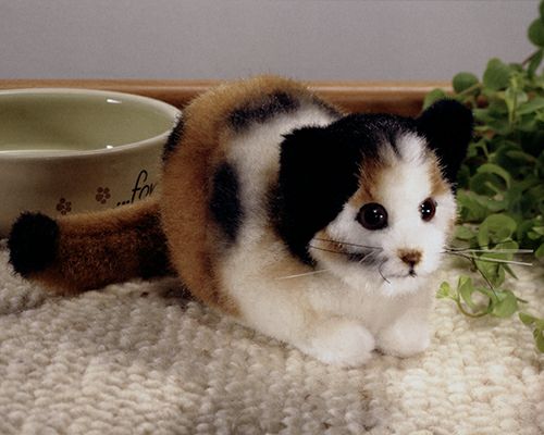 ケーセン Koesen ぬいぐるみ 猫 ミニ 三毛 Gluckskatze, mini