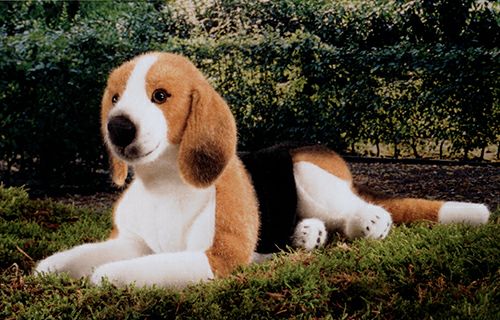 ケーセン Koesen ぬいぐるみ ビーグル 伏せ Beagel, liegend