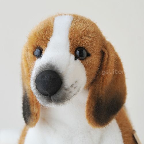 ケーセン Koesen ぬいぐるみ ビーグル 伏せ Beagel, liegend