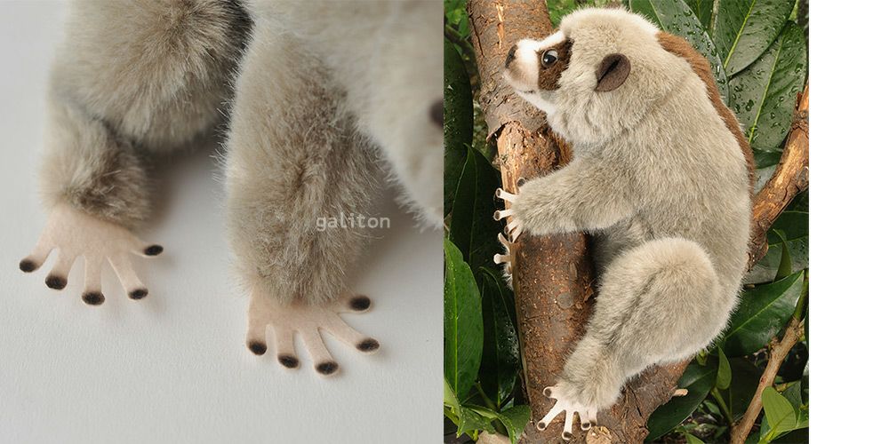 ケーセン Koesen ぬいぐるみ スローロリス