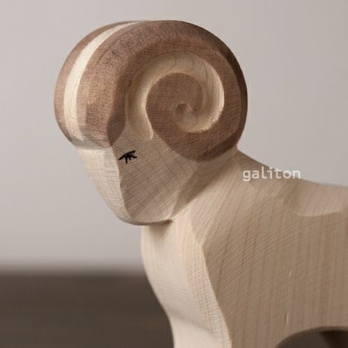 オストハイマー Ostheimer ひつじ オス