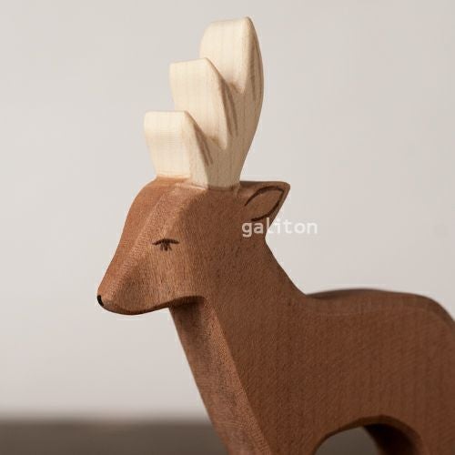 オストハイマー Ostheimer ノロジカ オス