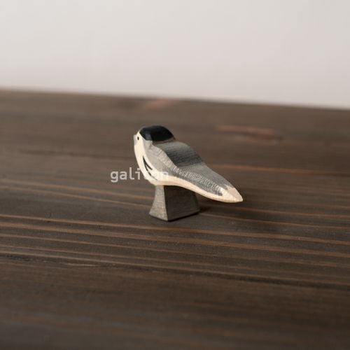 オストハイマー Ostheimer セキレイ