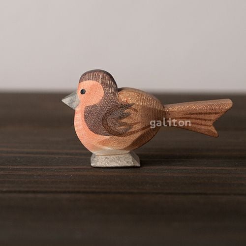 オストハイマー Ostheimer コマドリ