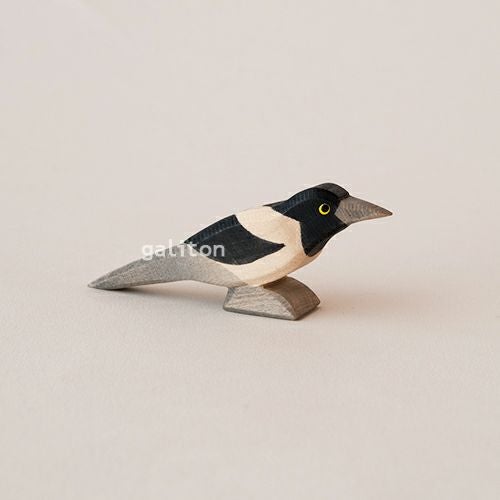 オストハイマー Ostheimer カササギ