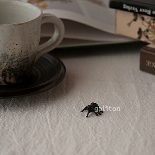 クリスティアンヴェルナー Christian Werner クモ（小）