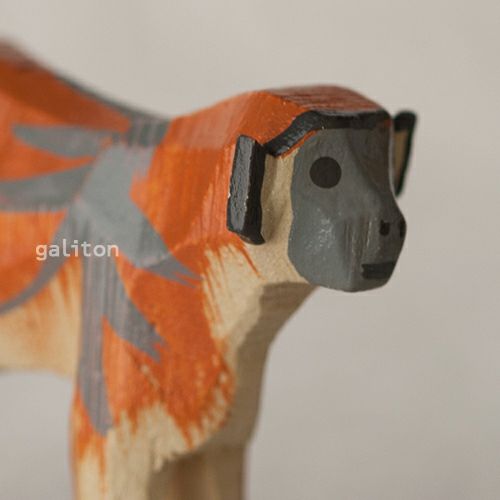 クリスティアンヴェルナー Christian Werner さる（大）