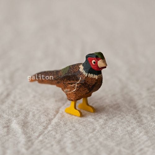 クリスティアンヴェルナー Christian Werner きじ オス（大）