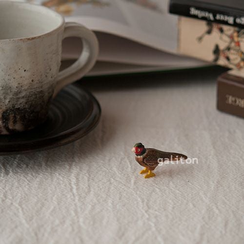 クリスティアンヴェルナー Christian Werner きじ オス（大）