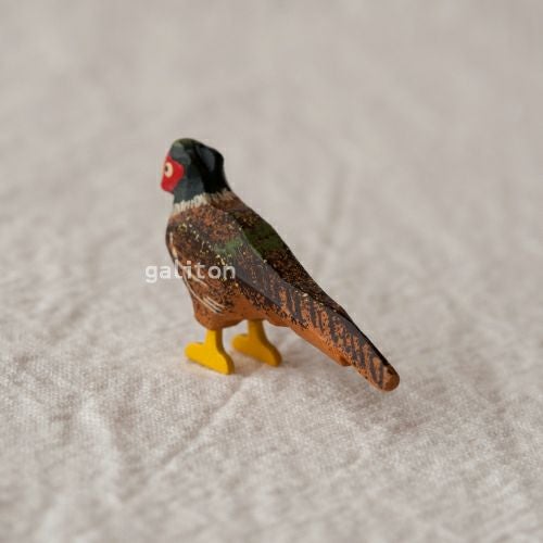 クリスティアンヴェルナー Christian Werner きじ オス（大）