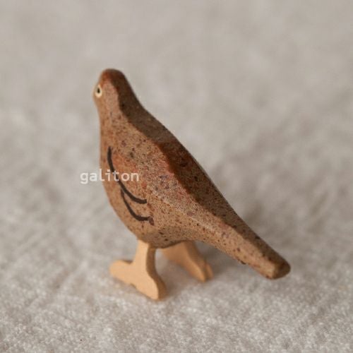 クリスティアンヴェルナー Christian Werner きじ メス（大）