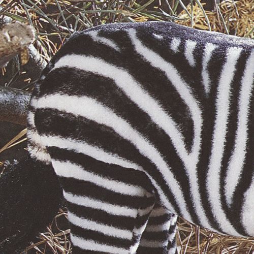 【納期未定】ケーセン Koesen ぬいぐるみ しまうま