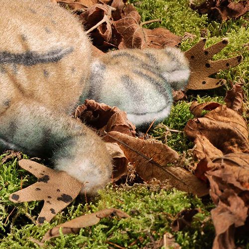 【納期未定】ケーセン Koesen ぬいぐるみ ヒキガエル