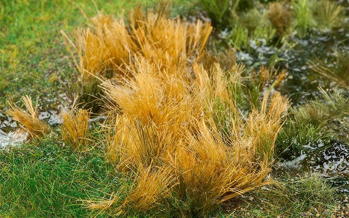 FALLER/ファーラー 170715 葦