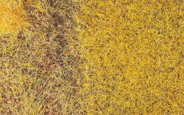 FALLER/ファーラー 170776 プレミアムグラウンドカバーファイバー 6mm ストロー 30g