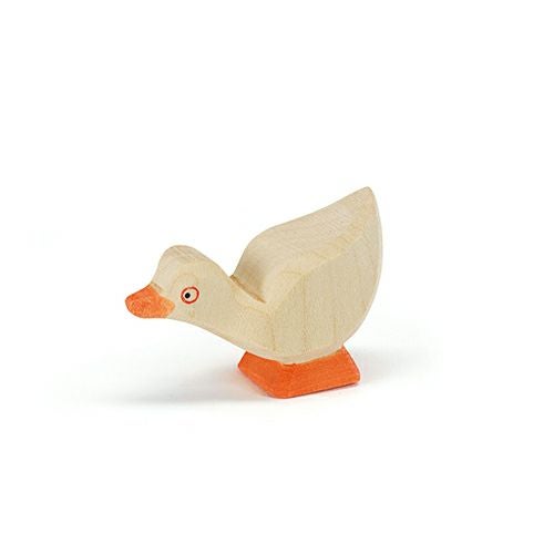 オストハイマー Ostheimer がちょうの子 前向き