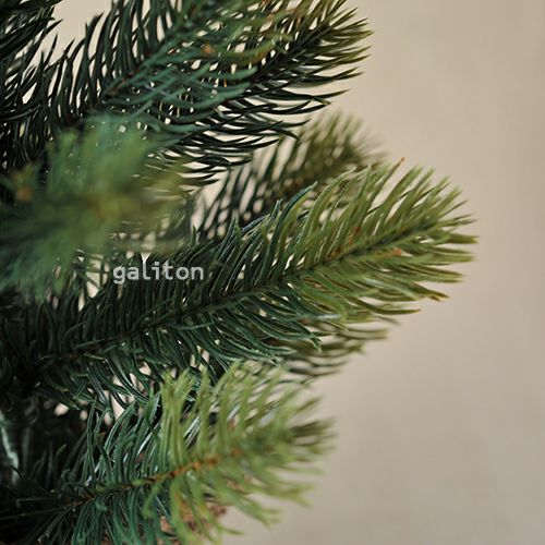 【予約販売】RSグローバルトレード社 RS GLOBAL TRADE シュヴァルツヴァルトツリー（クリスマスツリー） 195cm TANNE PREMIUM《納期:2025年10月頃の見込み》※キャンセル不可※