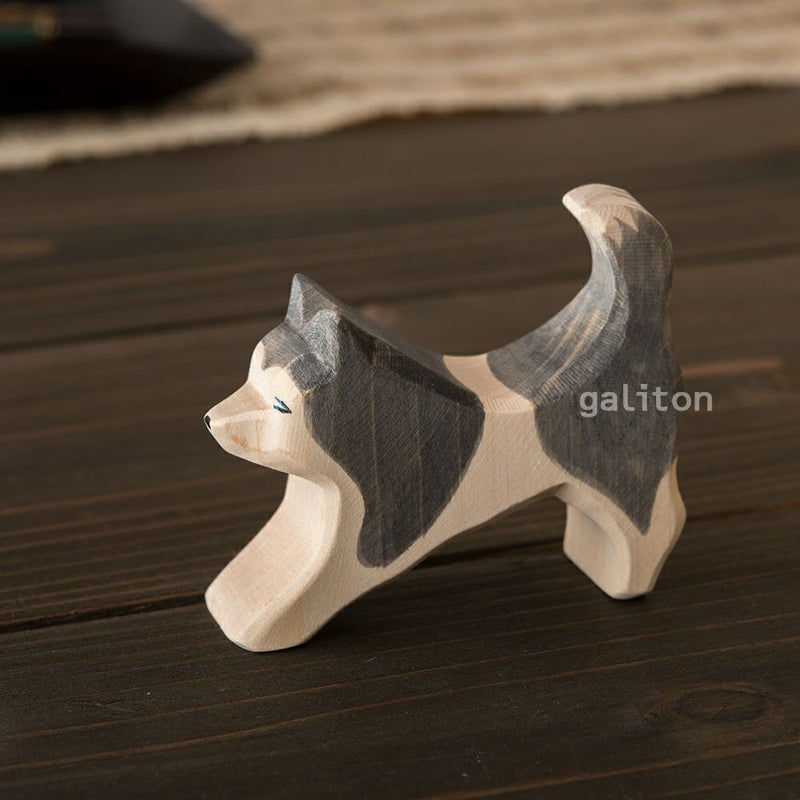 オストハイマー Ostheimer そり犬 グレー 走り