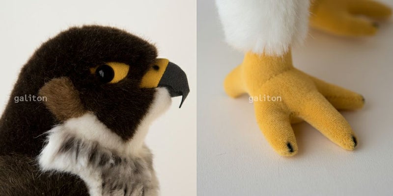 ケーセン Koesen ぬいぐるみ ハヤブサ