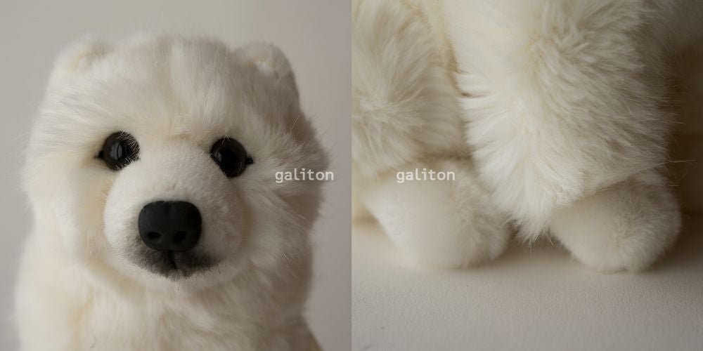 ケーセン Koesen ぬいぐるみ スピッツの子