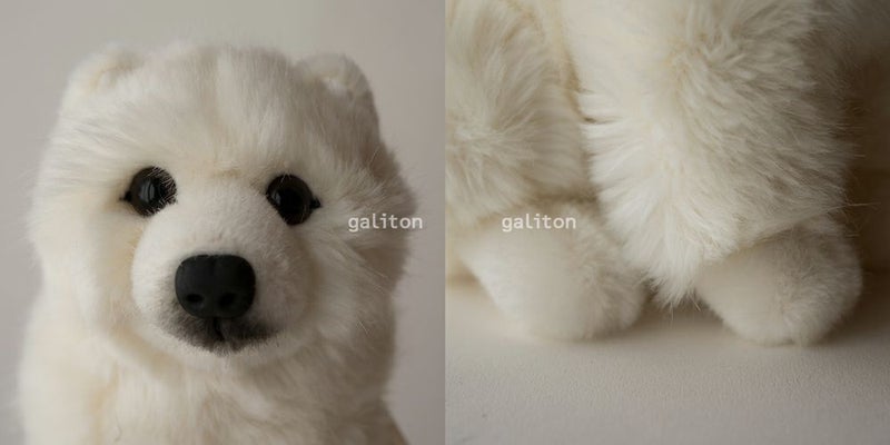 ケーセン Koesen ぬいぐるみ スピッツの子