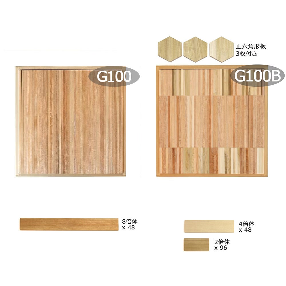 童具館 WAKU-BLOCK45G100特別セット（G100+限定品G100B）